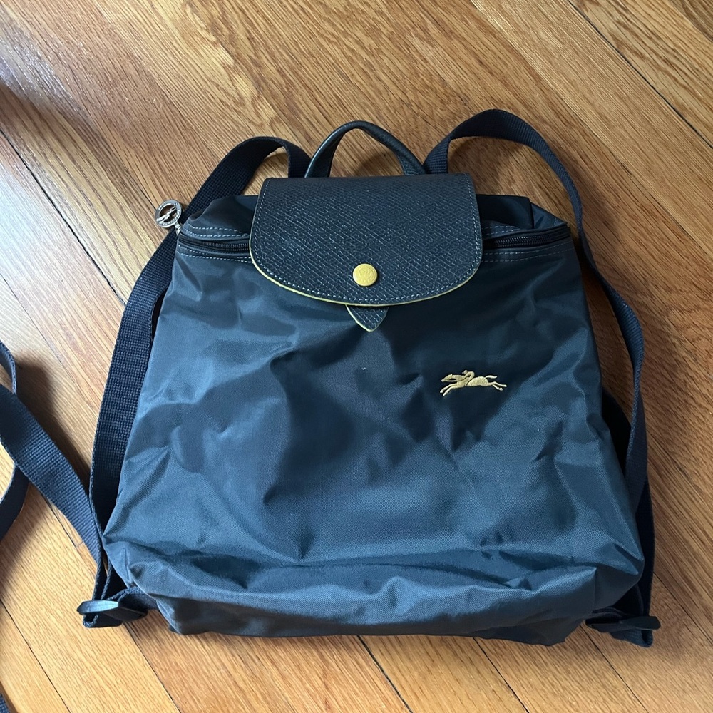 Longchamp Le Pliage Backpack Gray - image 1